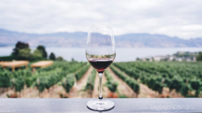 beaujolais nouveau