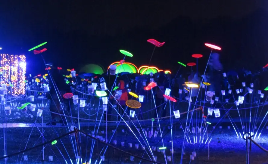 Light Festival