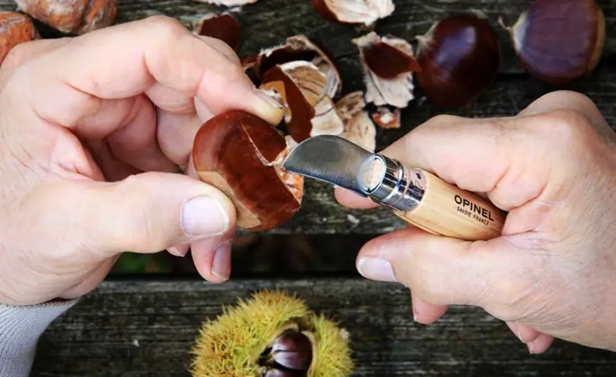 French kitchen knives
