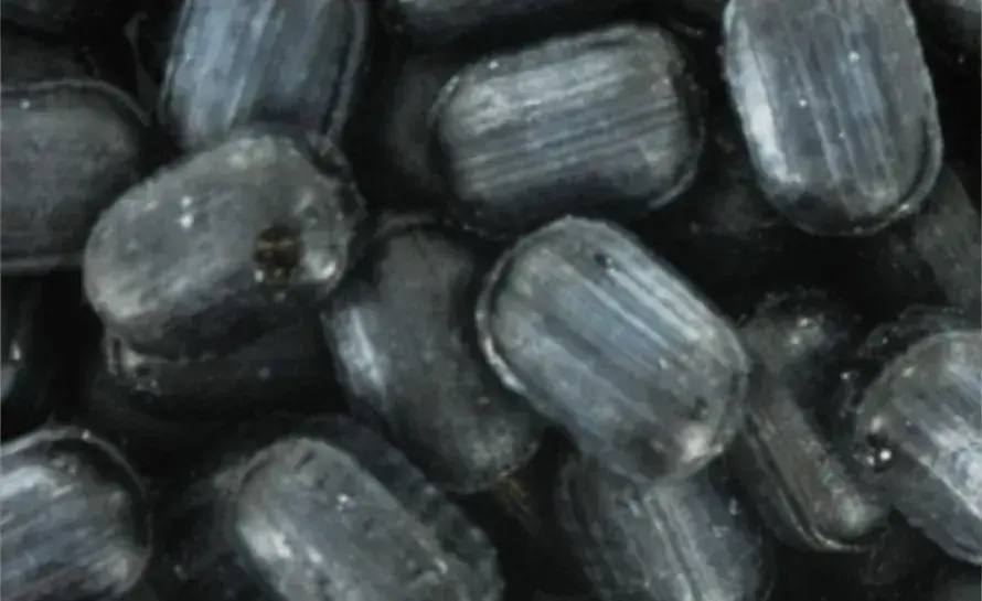 French candy