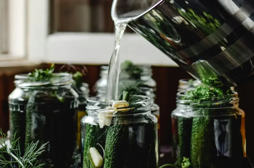 Home preserving food