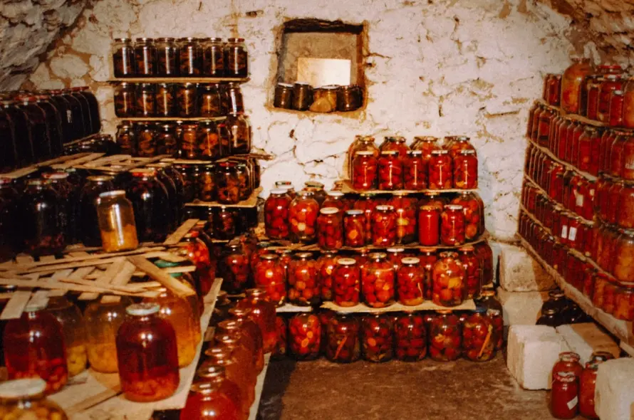 Home preserving food