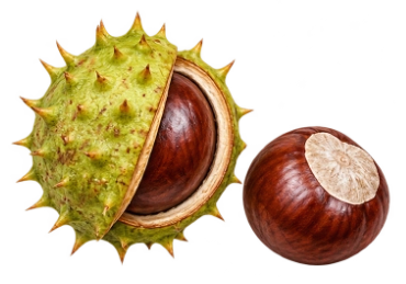 chestnuts